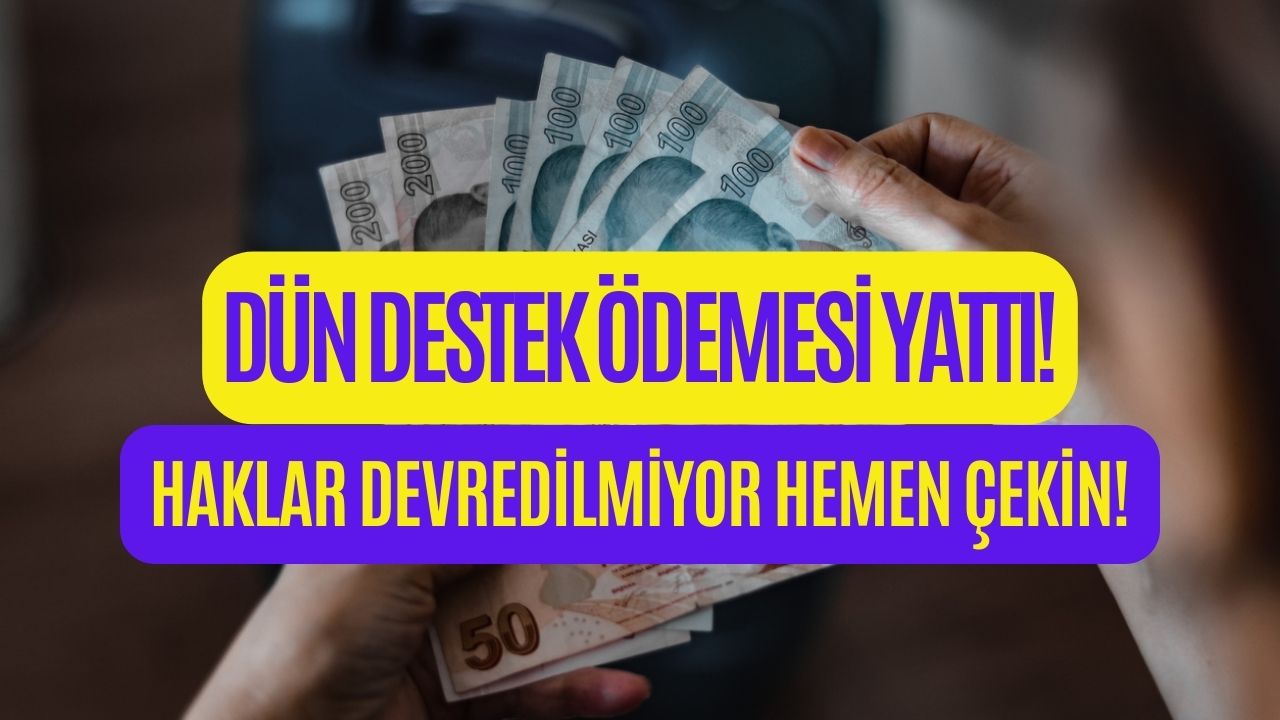 Almayan Kalmasın! Bakanlık Dün Destek Ödemesi Yatırdı Bu Yöntemle Hemen Çekin