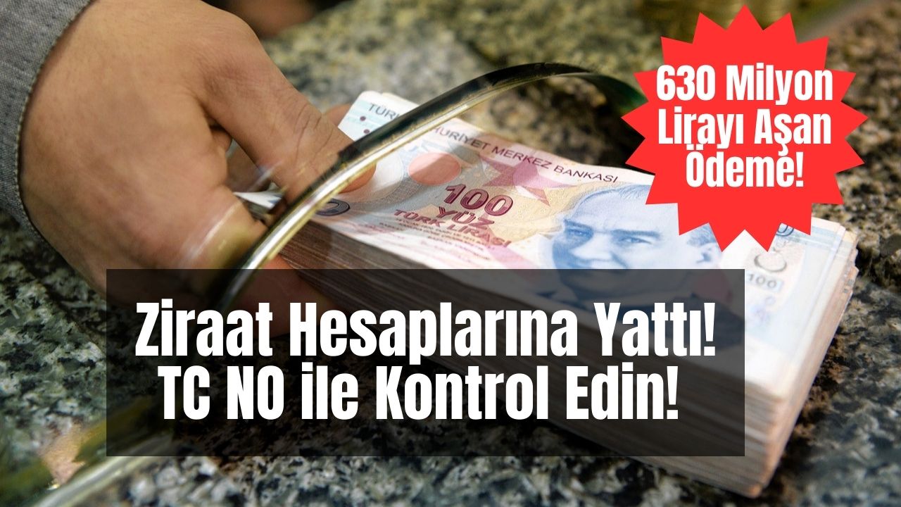 Bakanlık Cuma Akşamı Herkesin Adına Destek Parası Yatırdı! TC No ile e-Devlet’ten Kontrol Edin!