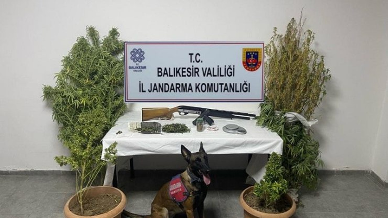 Balıkesir Ayvalık’ta Uyuşturucu Operasyonu: 7 Zanlı Tutuklandı