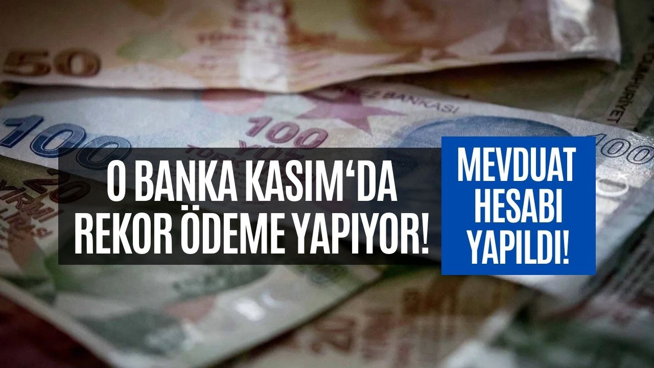 Belli Oldu! Kasım Ayında En Yüksek Mevduatı O Banka Veriyor