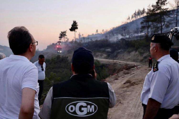 Bilecik Osmaneli’de orman yangını denetim altında