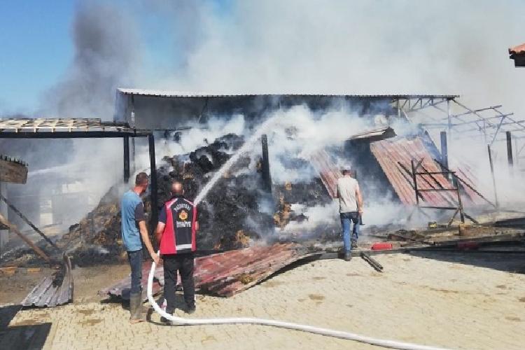 Bilecik’te at çiftliğinde büyük yangın