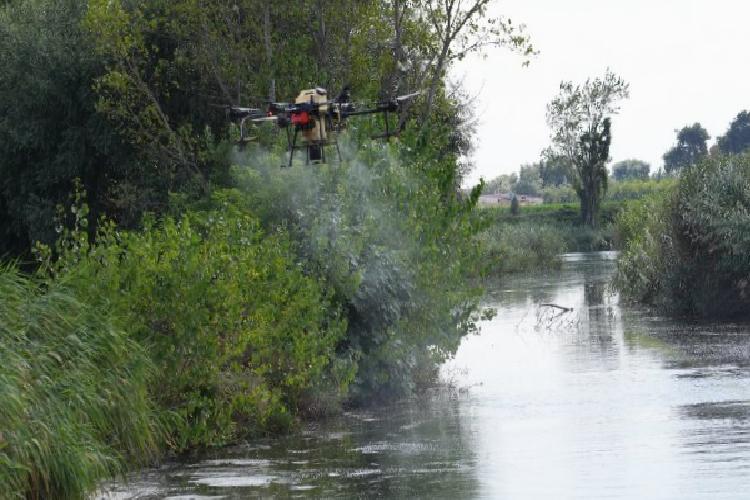 Bursa’da drone ile sinek avı