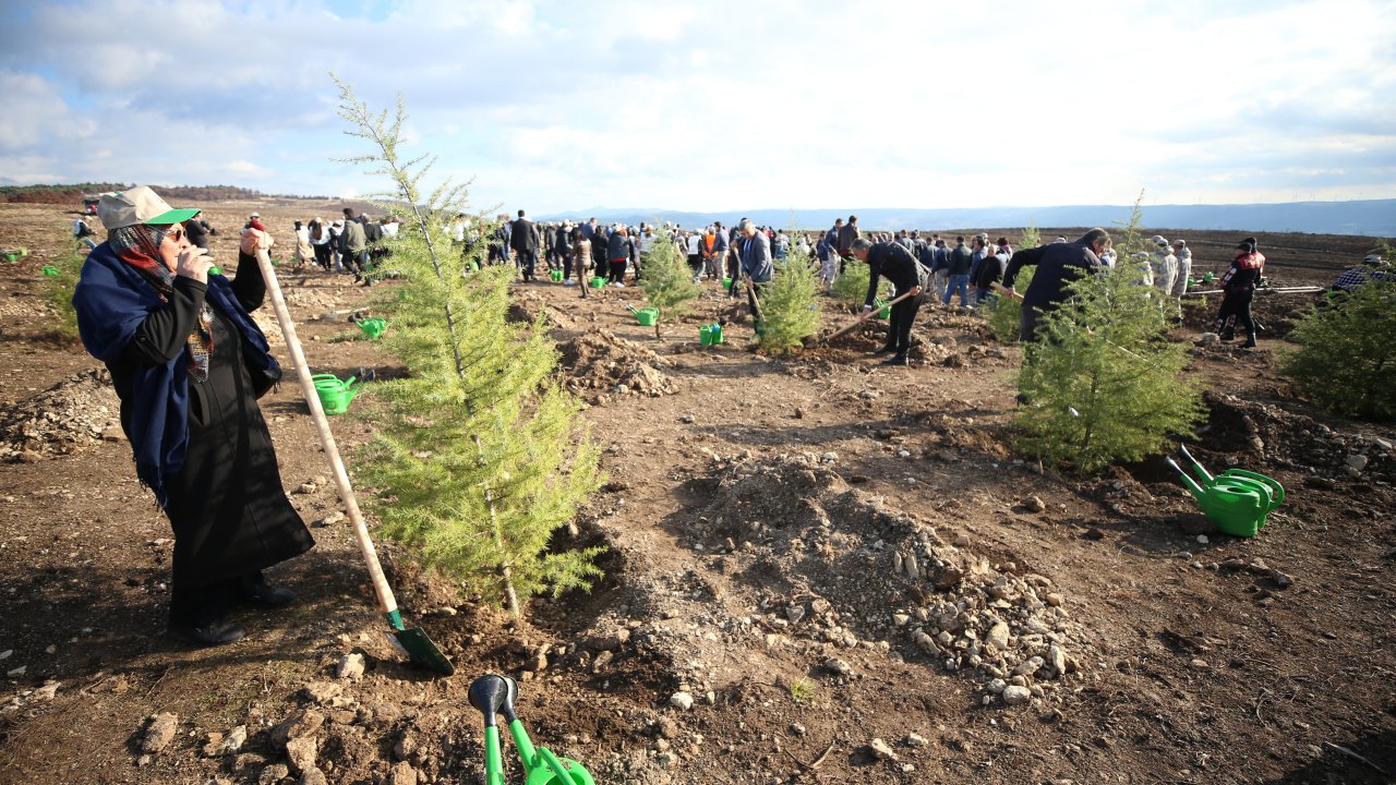 Çanakkale’de 54 Bin 750 Fidan Dikildi