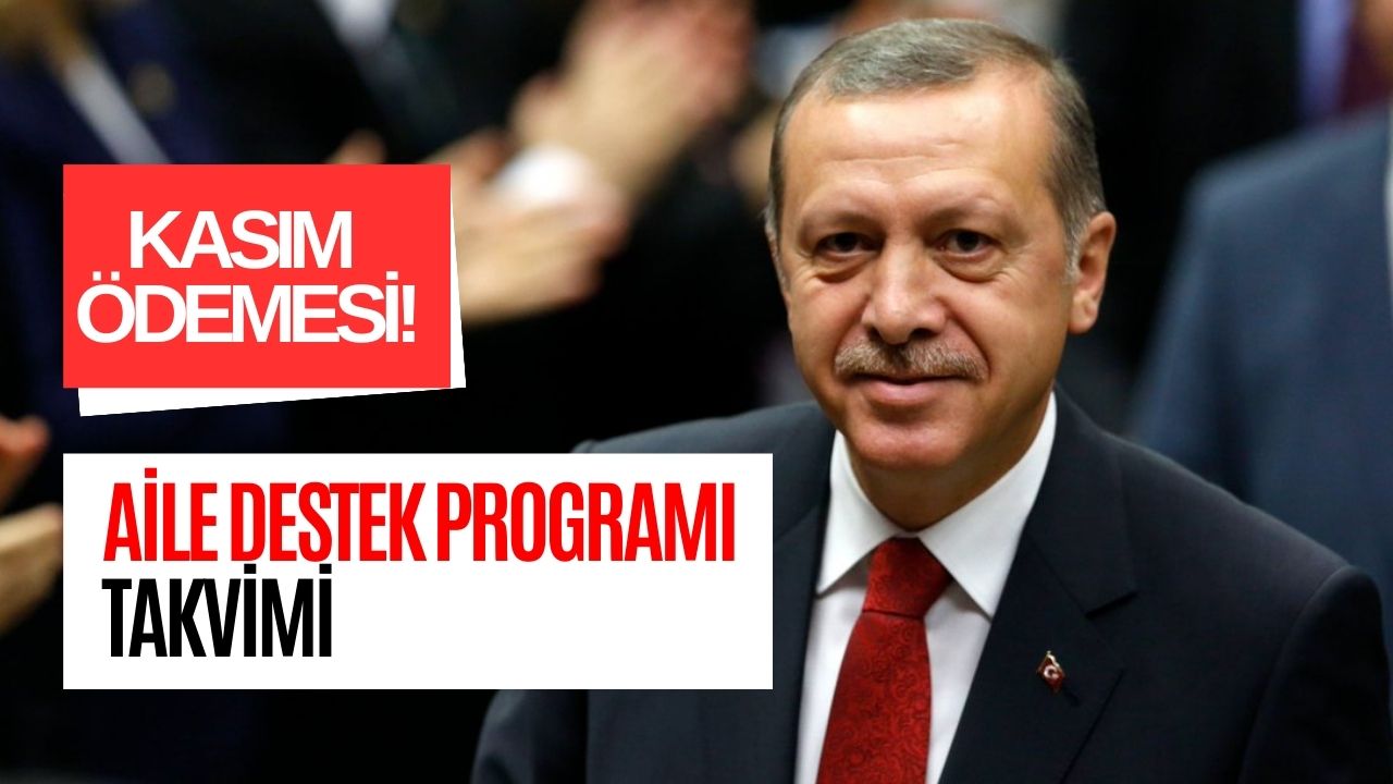 Cumhurbaşkanı Netleştirdi! Aile Destek Programı Kasım Ayı Ödemeleri