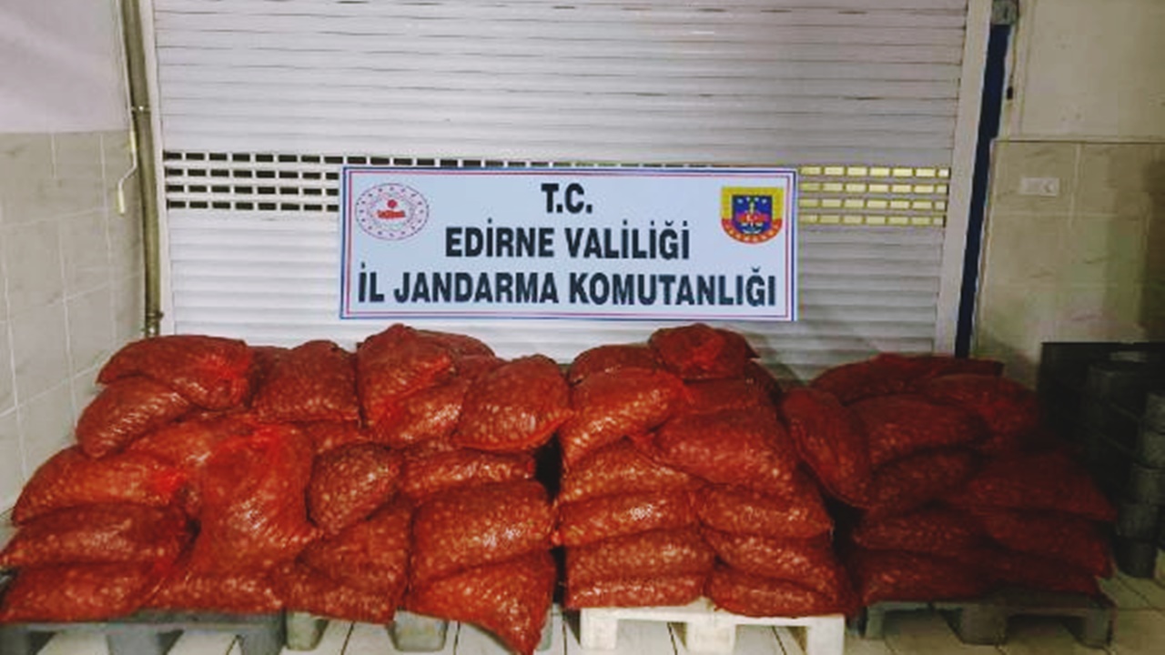 Edirne’de 1 Ton 662 Kilo Kum Midyesi El Koyuldu