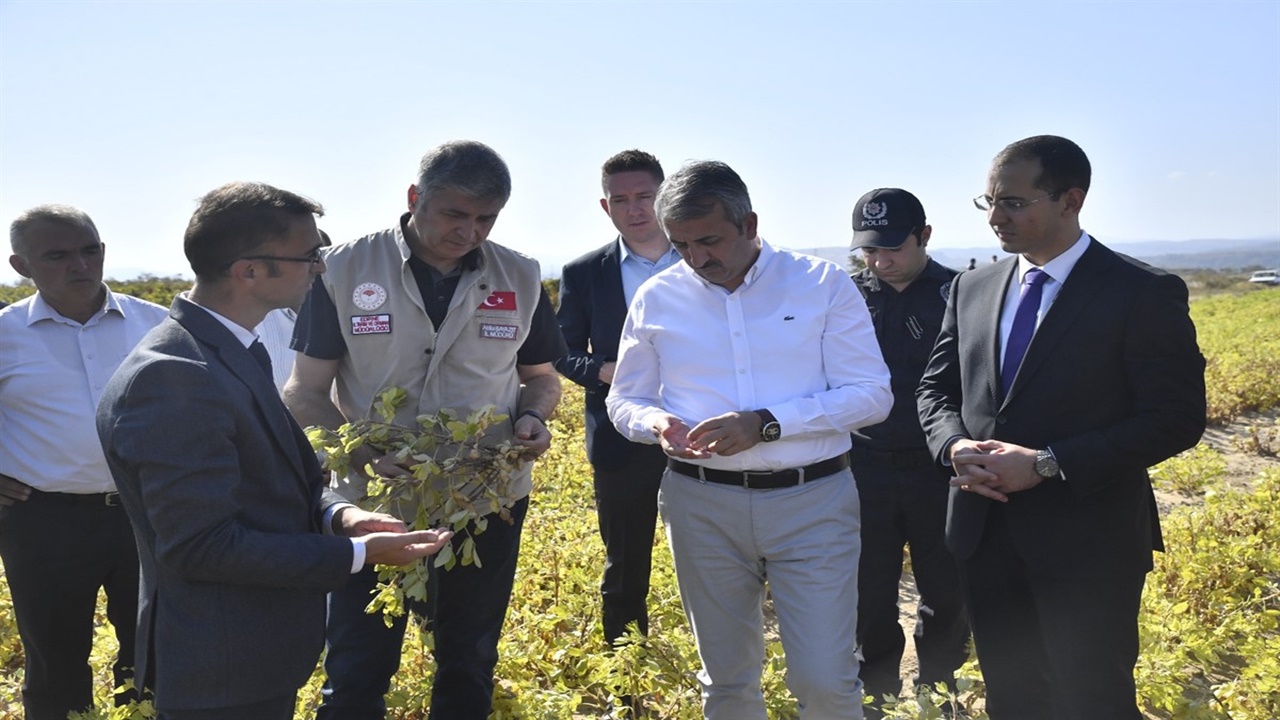 Edirne’deki Fıstık Hastasına Vali de Katıldı