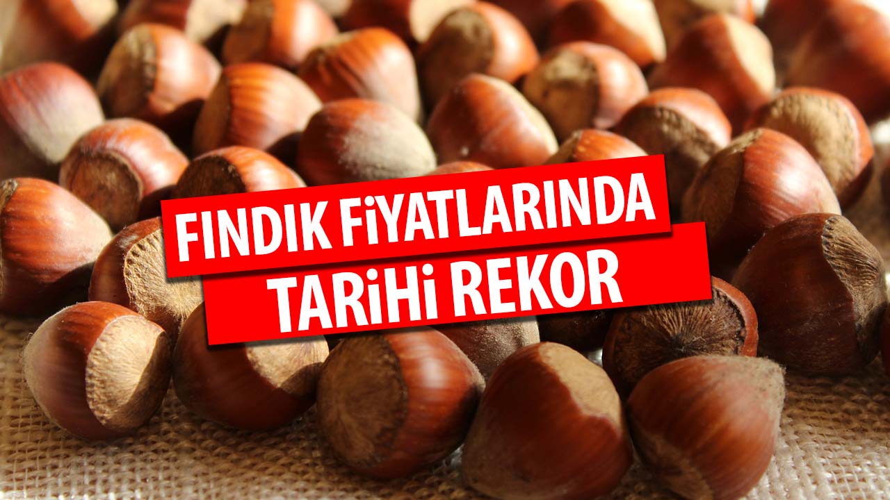 Fındık Fiyatları Rekor Kıracak! O Tarihte Kilosu 5 Dolardan Satılacak