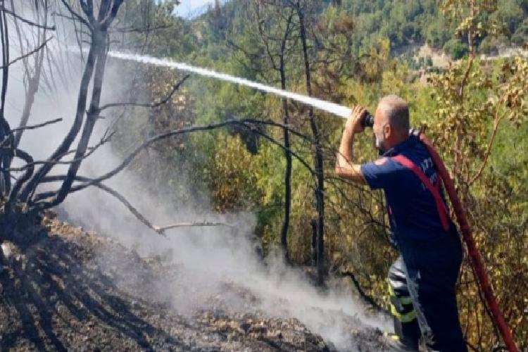 Hatay Antakya’daki orman yangınları söndürüldü