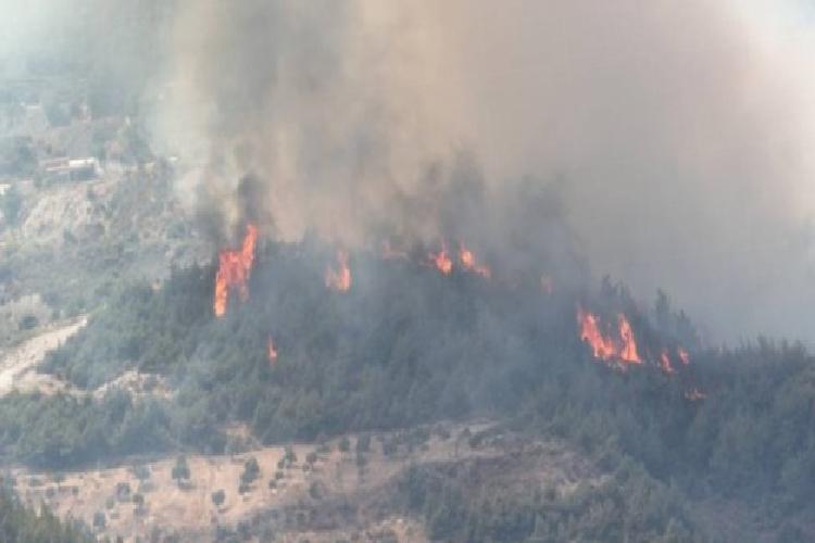 Hatay Antakya’daki yangına müdahale sürüyor