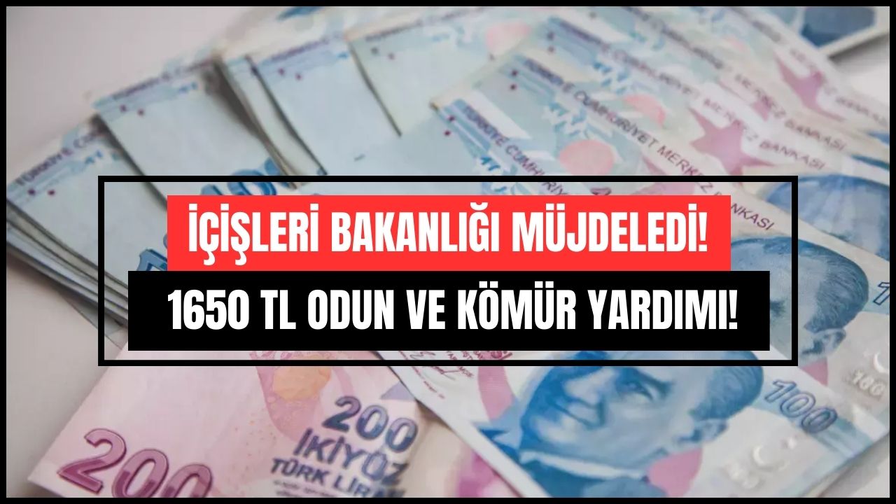 İçişleri Bakanlığı Sosyal Yardım Ödemelerine Başladı! Odun ve Kömür Yardımı Başvuru Ekranı!