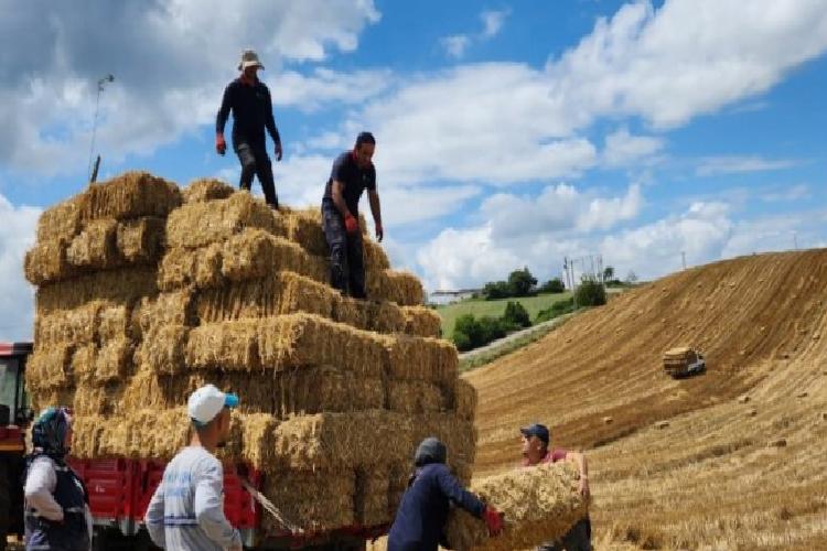 İzmit buğday balyalarını üreticilerle paylaşacak