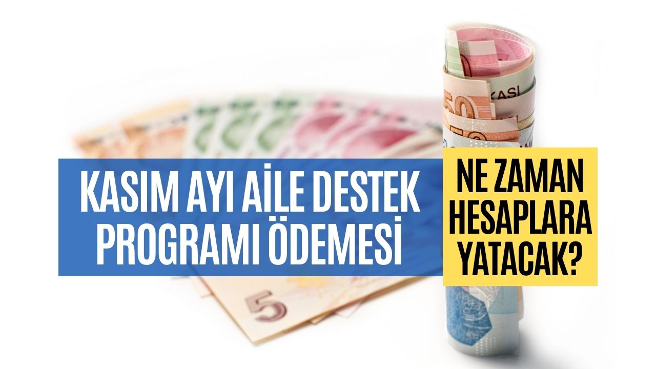 Kasım Ayı Aile Destek Programı Ödemeleri Belli Oldu!