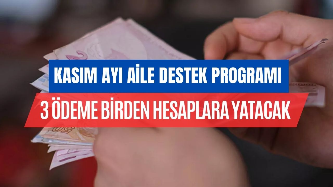 Kasım Ayında Aile Destek Parasına Ek 910 TL Ödeme Yapılacağı Kesinleşti!