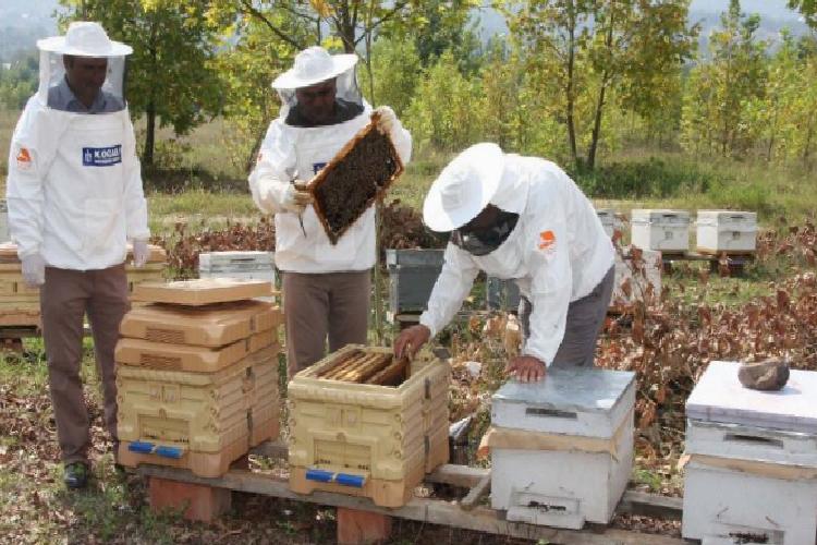 Kocaeli’den tarıma daima takviye tam takviye