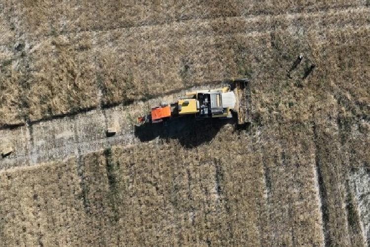 Konya yerli tohum için AR-GE’yi hızlandırdı