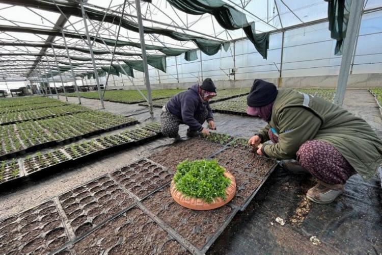 Manisa kendi serasından üretiyor