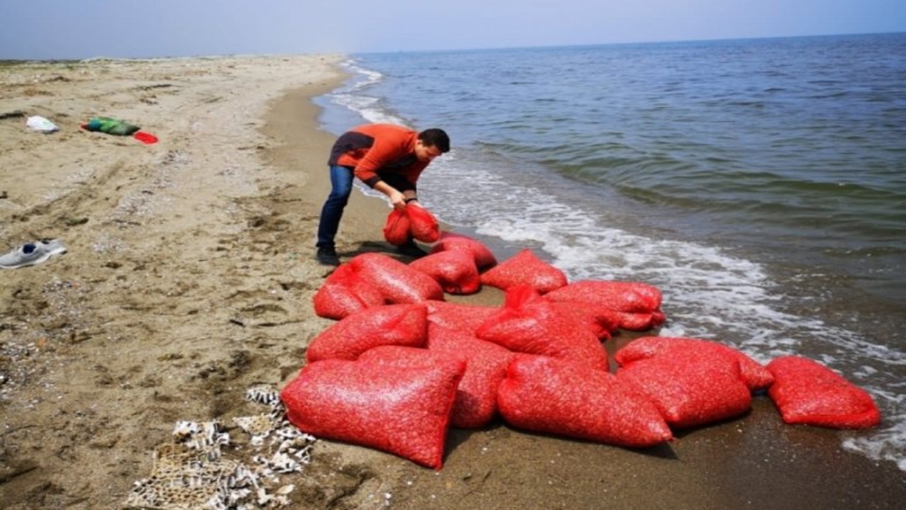 Mudanya’da 5,5 Ton Yasak Alan Kum Şırlanı Ele Geçirildi!