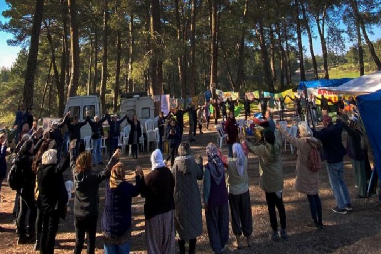 Muğla’da Akbelen Ormanı için ortak ‘sivil’ davet