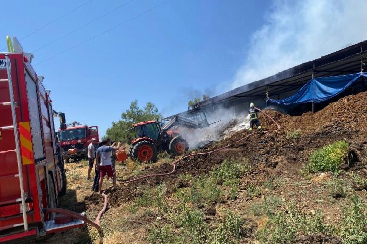 Muğla’da yangından etkilenen hayvanlara müdahale