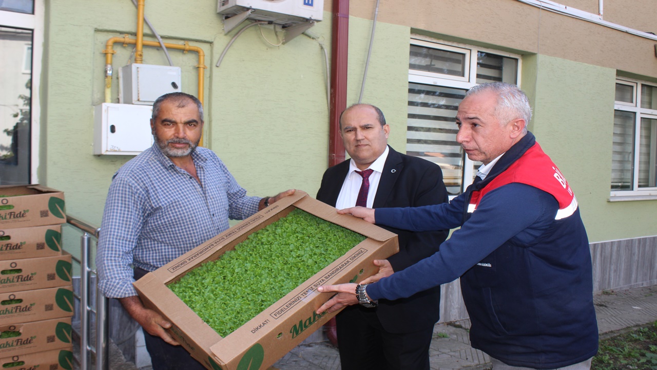 Osmaneli’de çiftçilere 10 bin 500 marul fidesi dağıtıldı