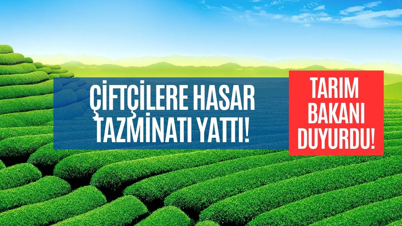 Tarımsal Destek Parası Yattı! TCKN Sonu 0,2,4,6,8 Olanlara 1.1 Milyar Liralık Ödeme Yapıldı