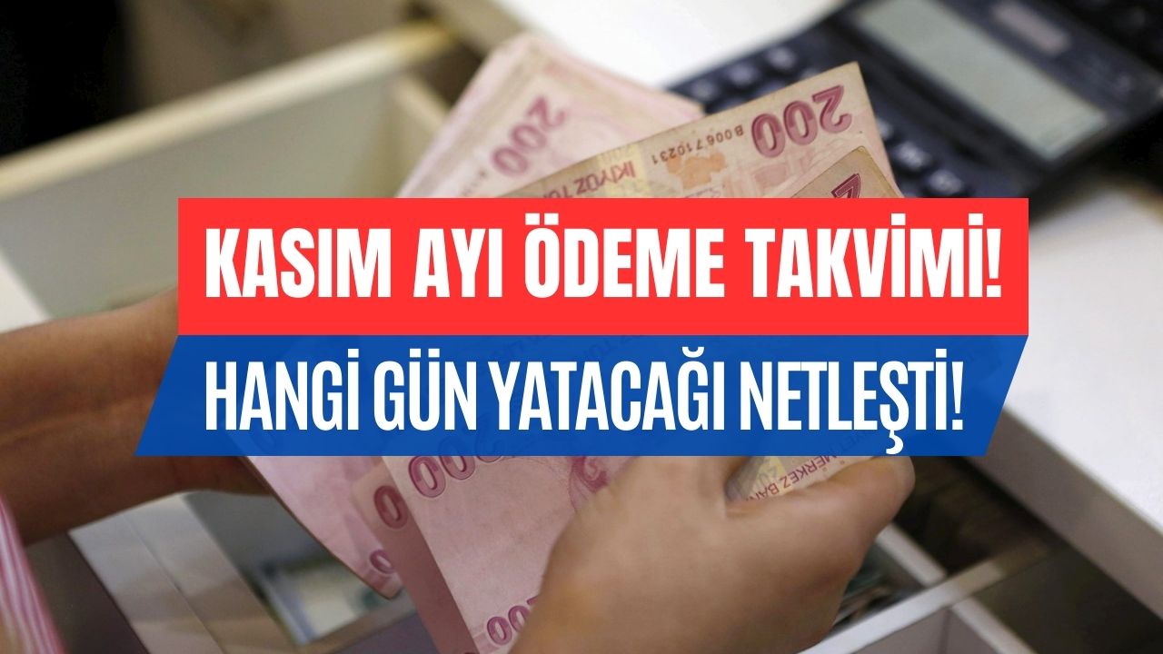 TCKN 0 ve 5 ile Bitenler O Tarihte Alacak! Engelli Maaşı Kasım Ayı Ödeme Takvimi Netleşti