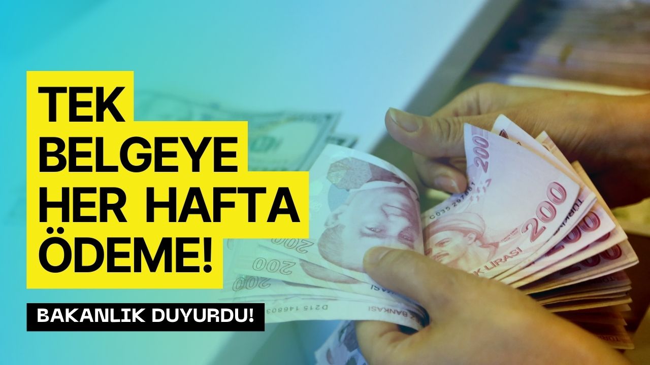 Tek Belgeye Her Hafta Ödeme! Bu Kaydı Yaptırana Bakanlıktan Kesilmeyen Destek!