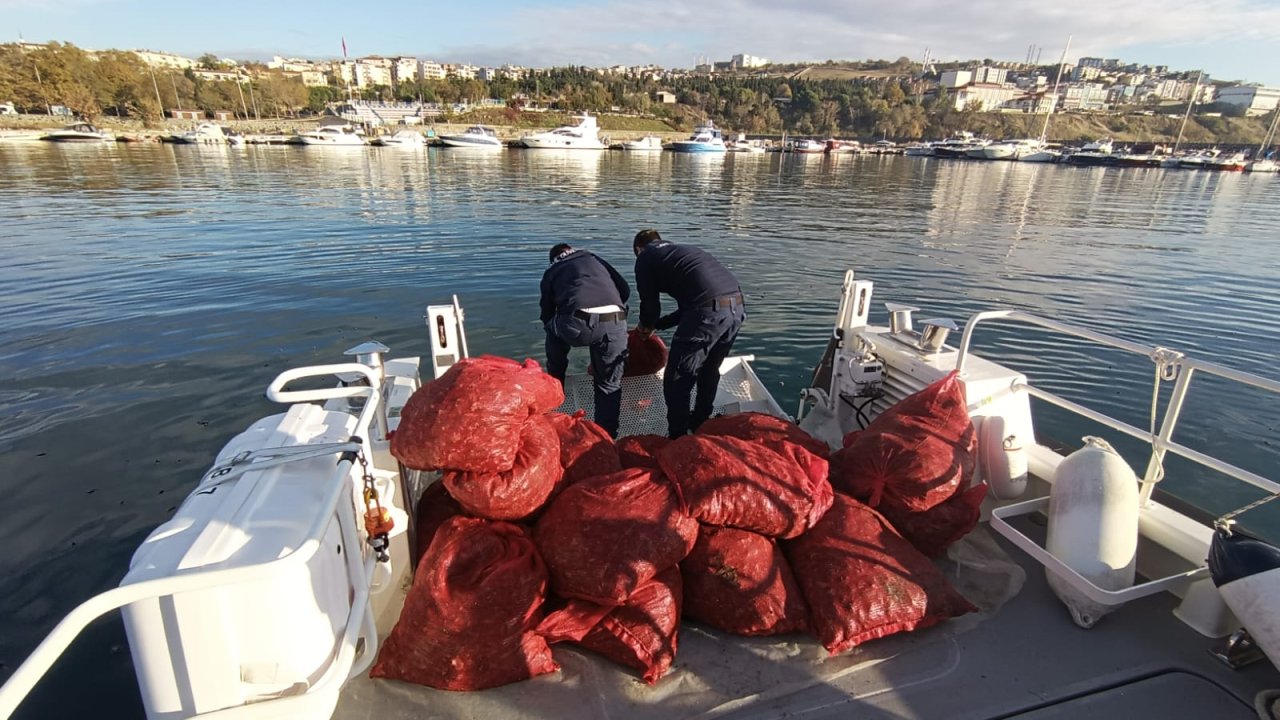 Tekirdağ’da Yasak Midye Operasyonu: 1 Ton 500 Kilogram El Konuldu