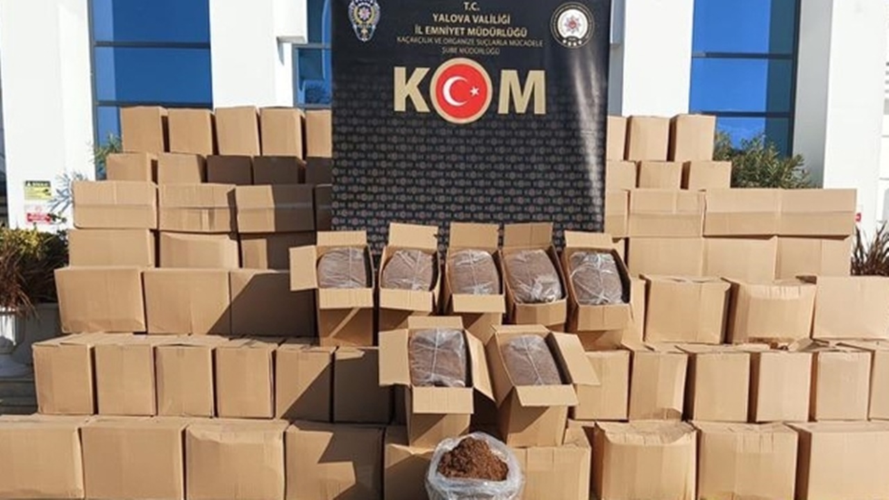 Yalova’da 6 Ton Kaçak Tütün Ele Geçirildi