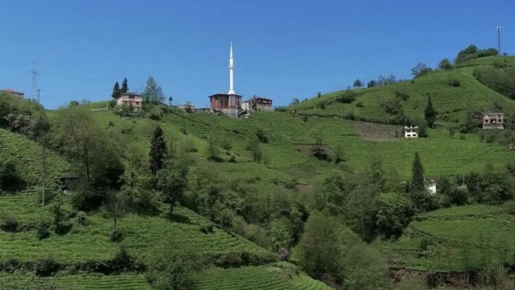 Rize Sütlüce köyündeki Aron Tepesi manzarası