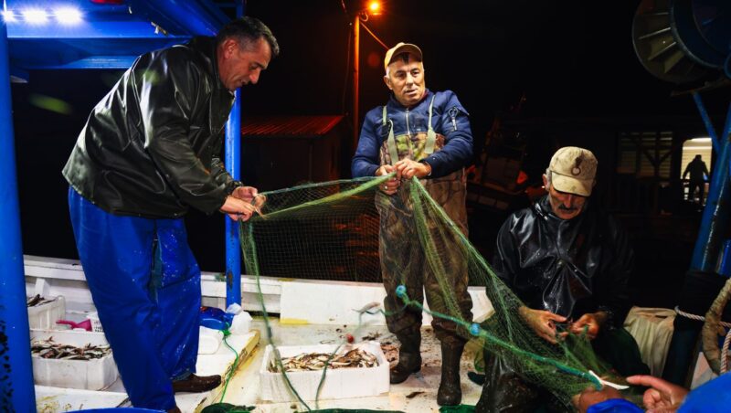 Denize balık avı için denize açılan balıkçılar, bol tekir avı ile dönüş yaptı. Tekir fiyatlarında bollukla birlikte düşüş bekleniyor.