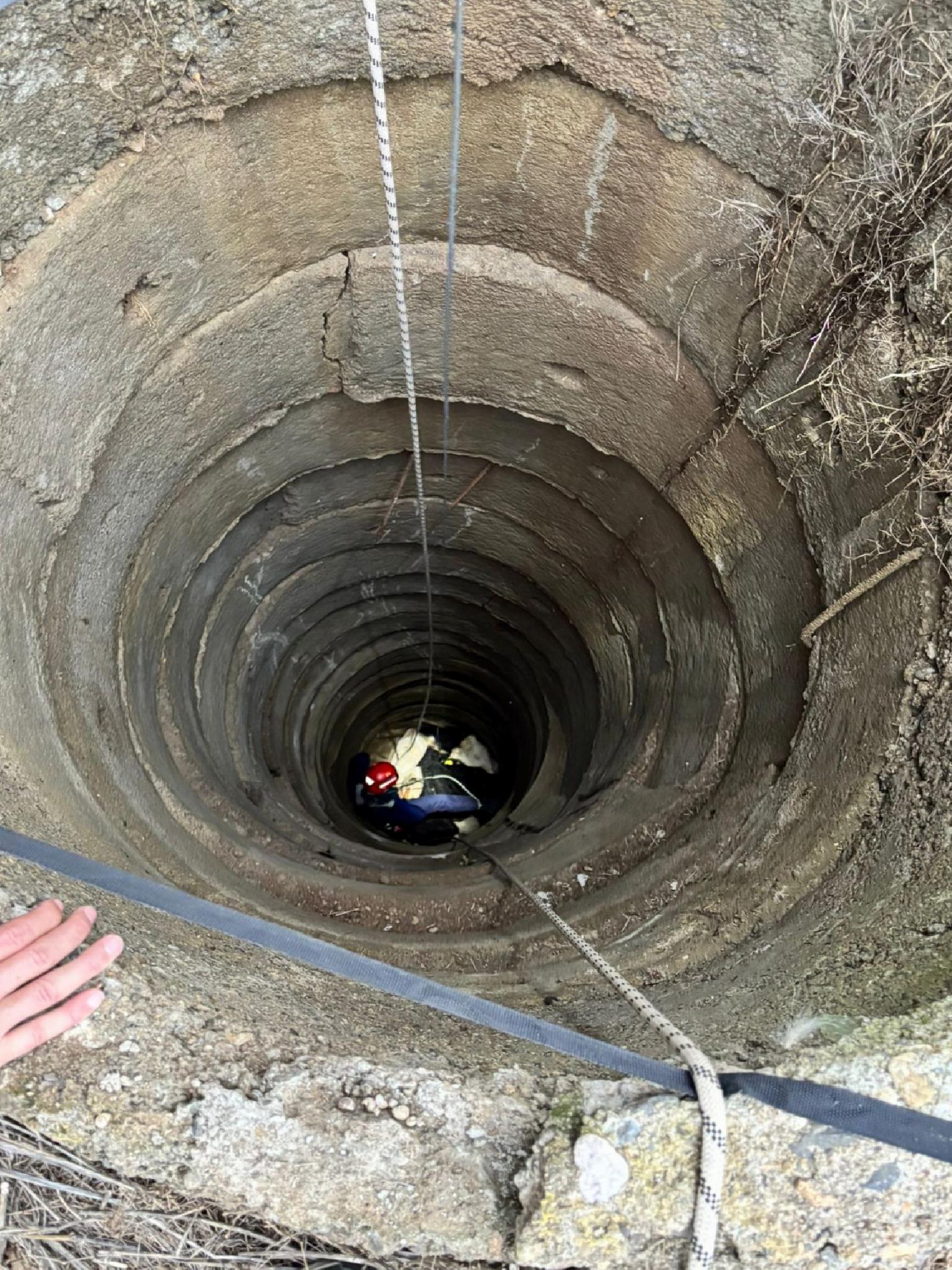 Balıkesir’de kuyuya düşen inek kurtarıldı haberi