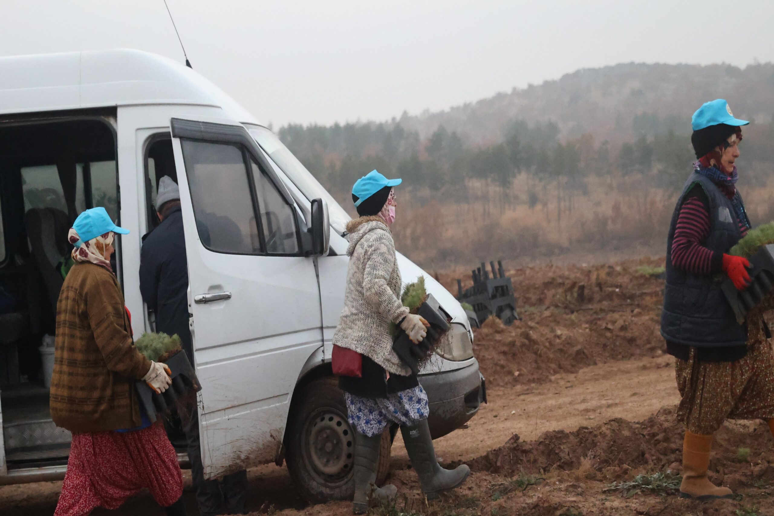 Kırklareli’nde fidanlar kadınların ellerinde yeşeriyor haberi