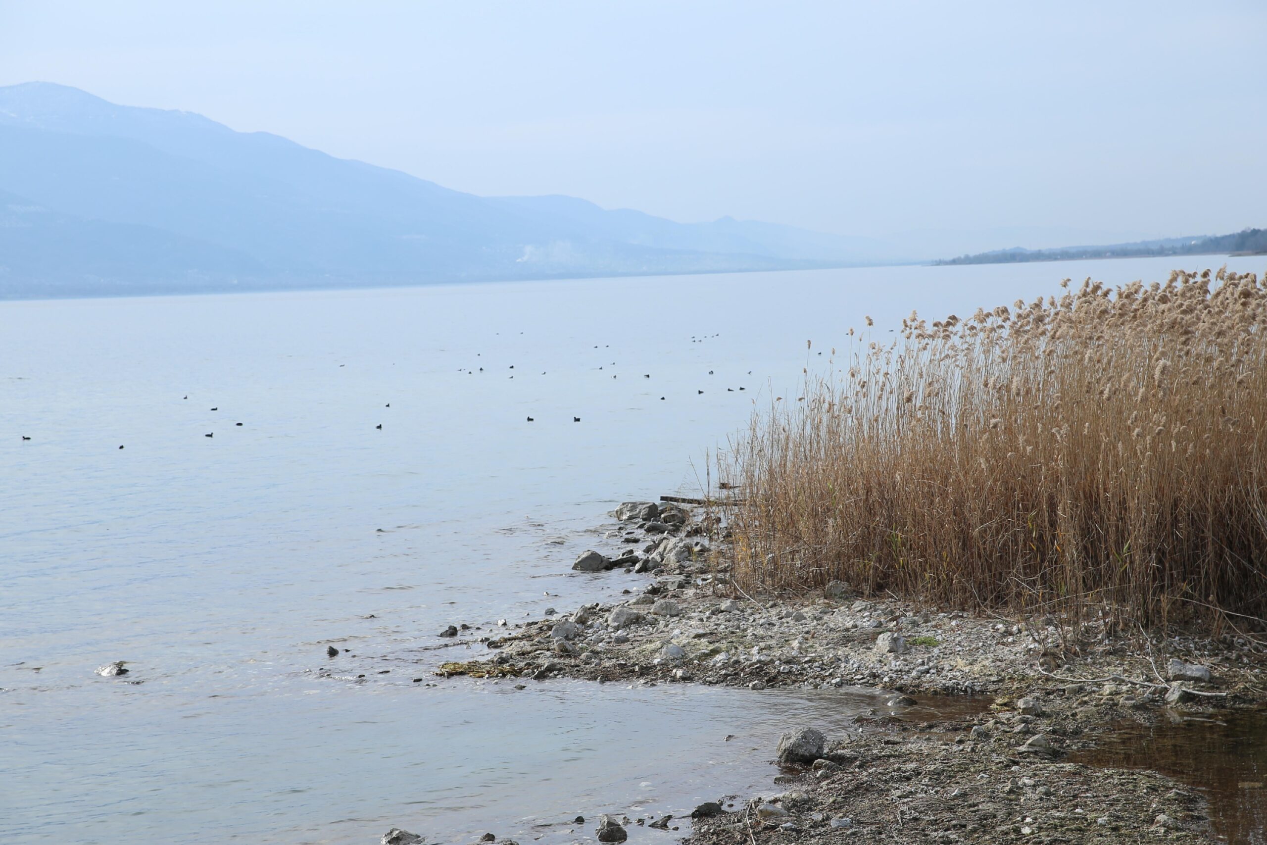 Sapanca Gölü çalışmalarla korunacak haberi