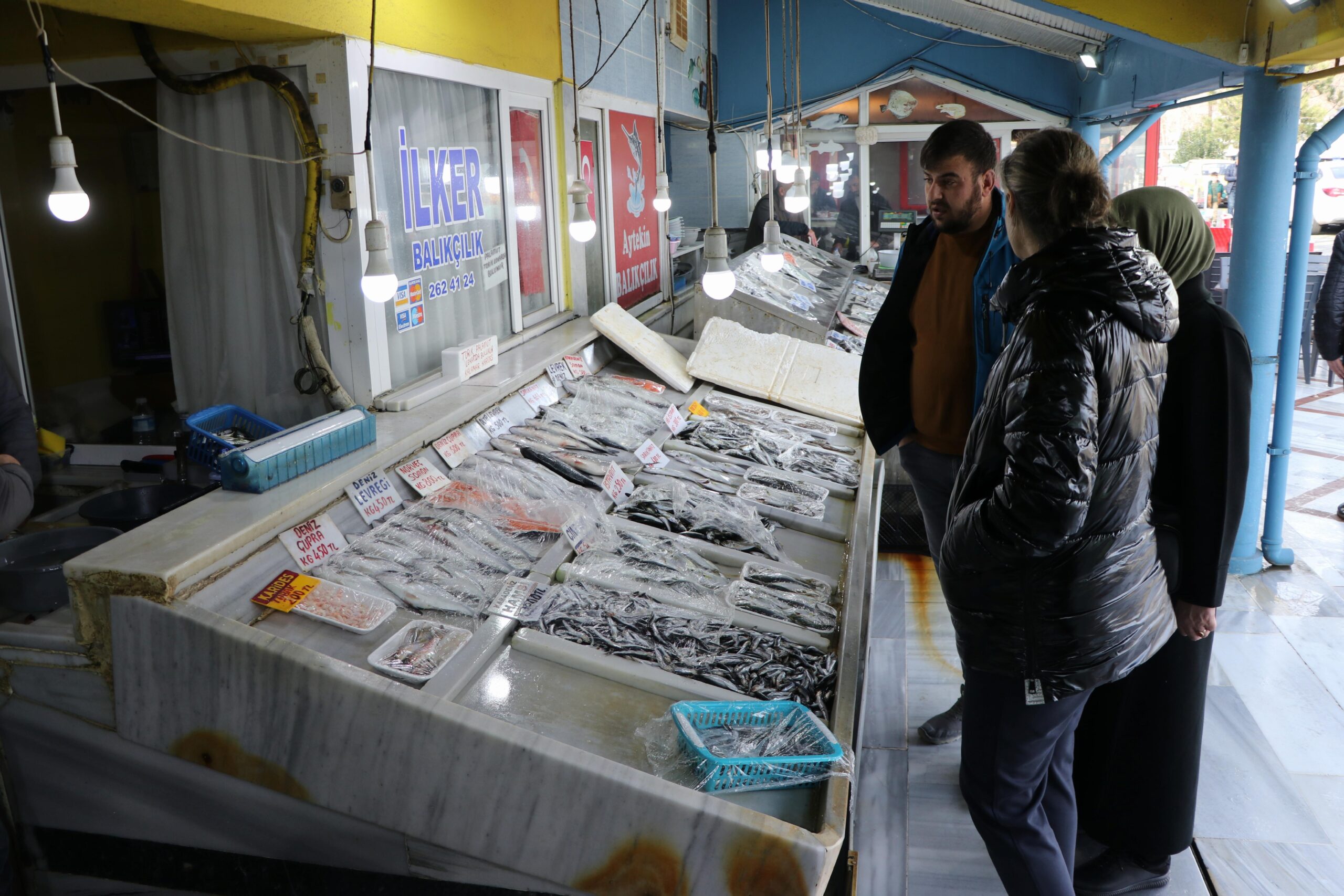 Tekirdağlı balıkçıların ağına en çok istavrit takılıyor haberi