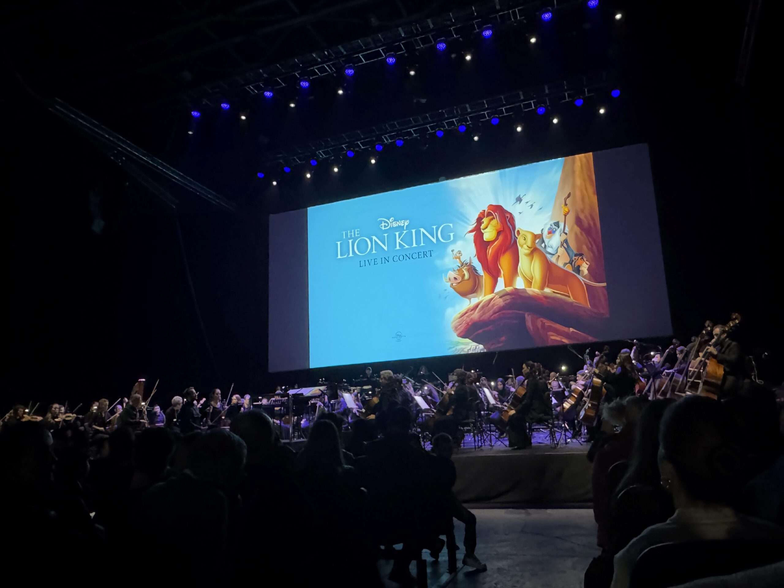 “The Lion King” filmi orkestra eşliğinde sanatseverlerle buluştu haberi