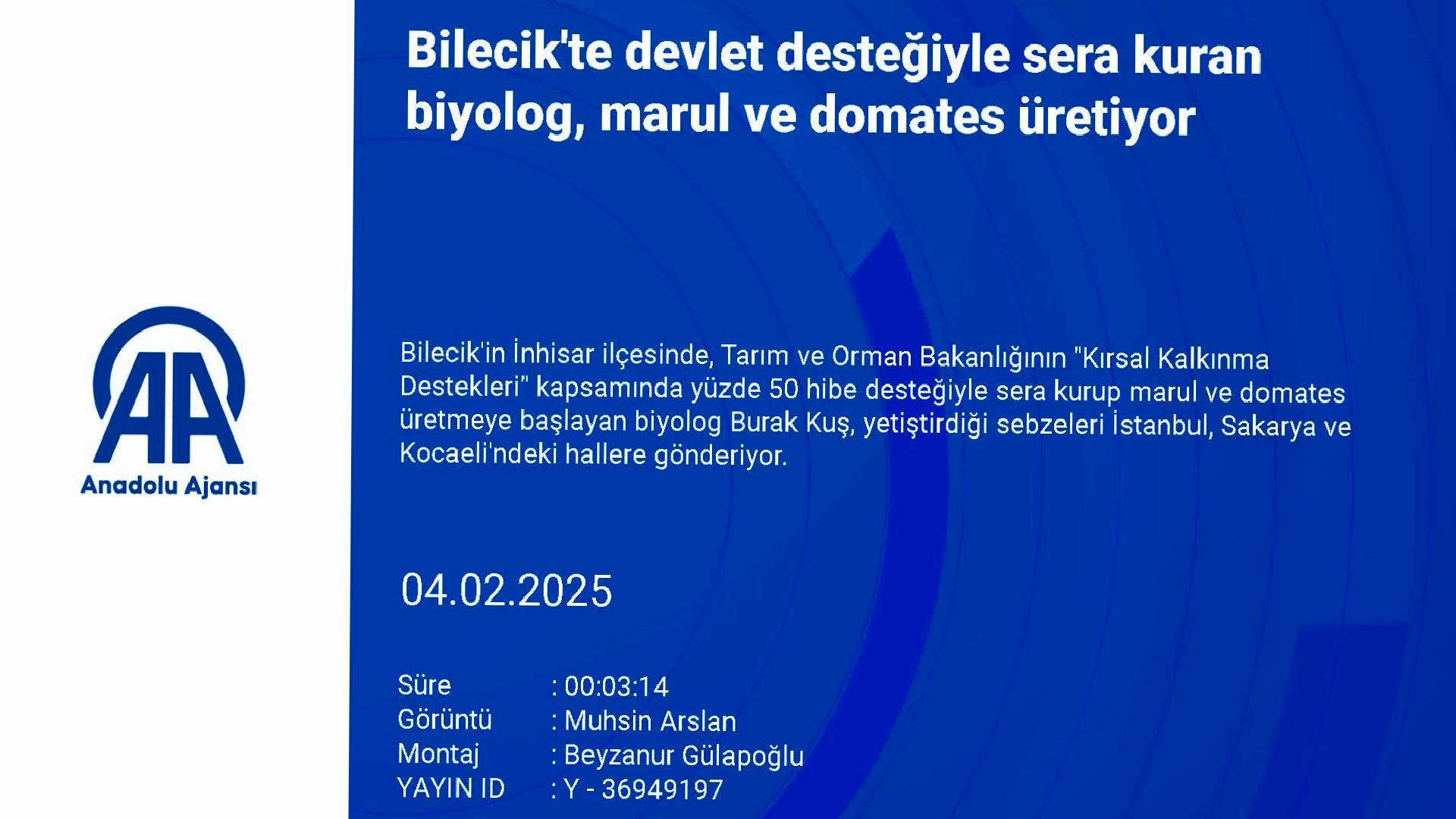 Bilecik’te devlet desteğiyle sera kuran biyolog, marul ve domates üretiyor haberi