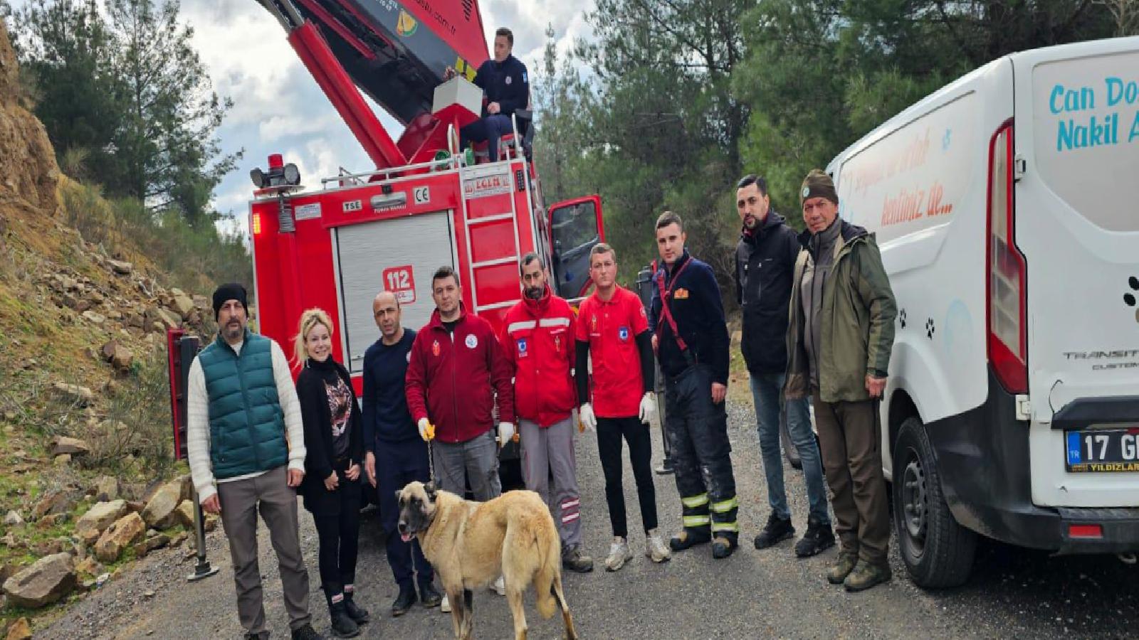 Çanakkale’de dağlık alanda mahsur kalan köpek kurtarıldı haberi