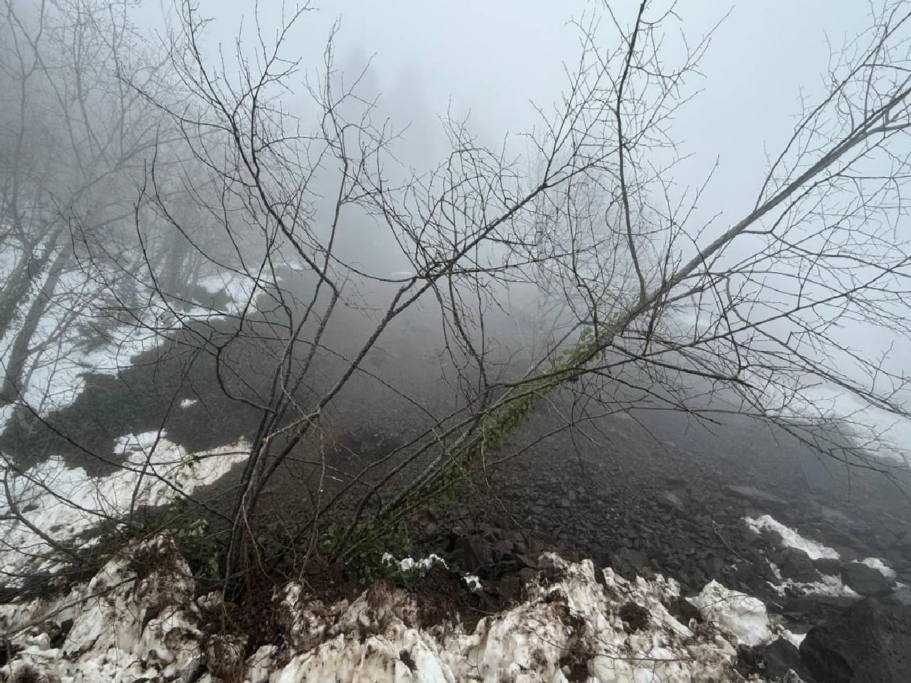 Heyelan nedeniyle kapanan Çam Dağı yolu yeniden ulaşıma açıldı haberi