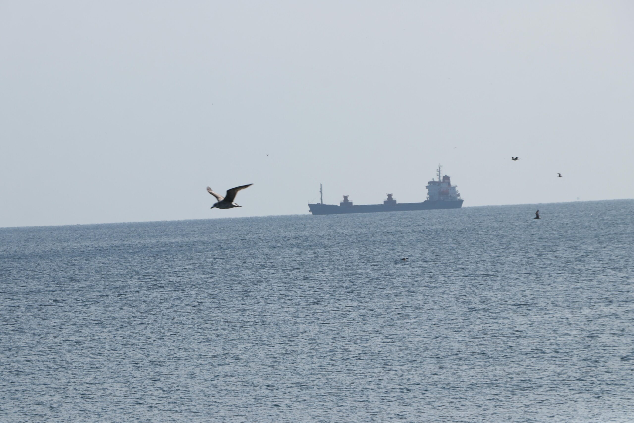 Tekirdağ’da deniz ulaşımı normale döndü haberi