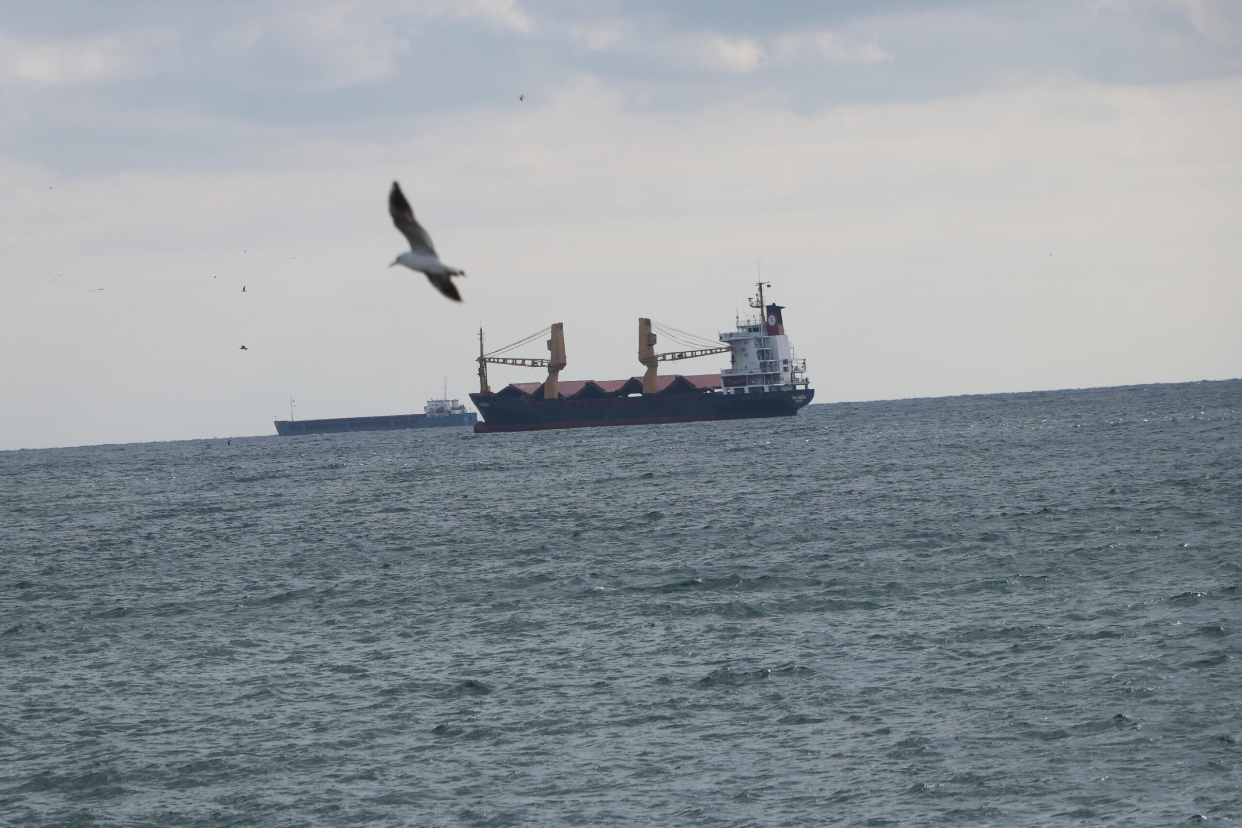 Tekirdağ’da deniz ulaşımına poyraz engeli haberi