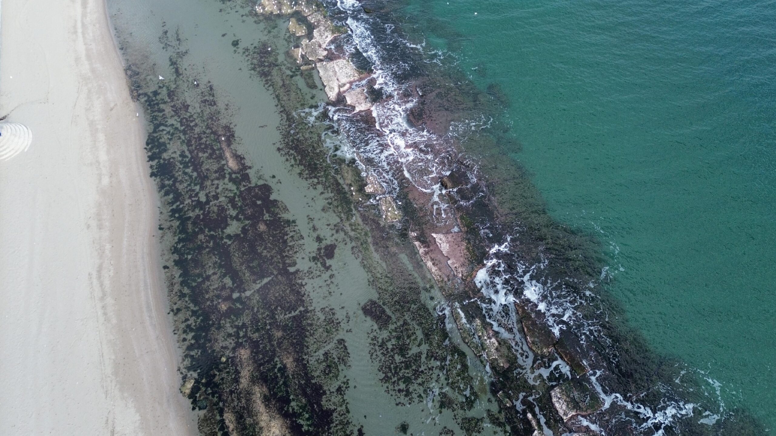 Tekirdağ’da kıyılarda deniz suyu çekildi haberi