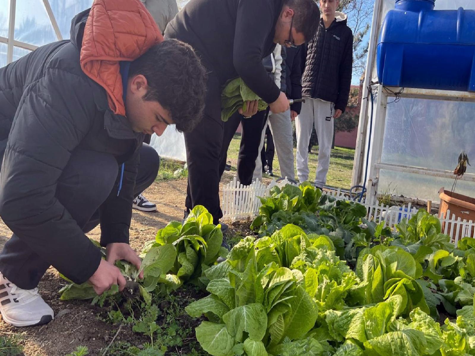 Tekirdağ’da lise öğrencileri okul bahçesinde çiftçiliği öğreniyor haberi