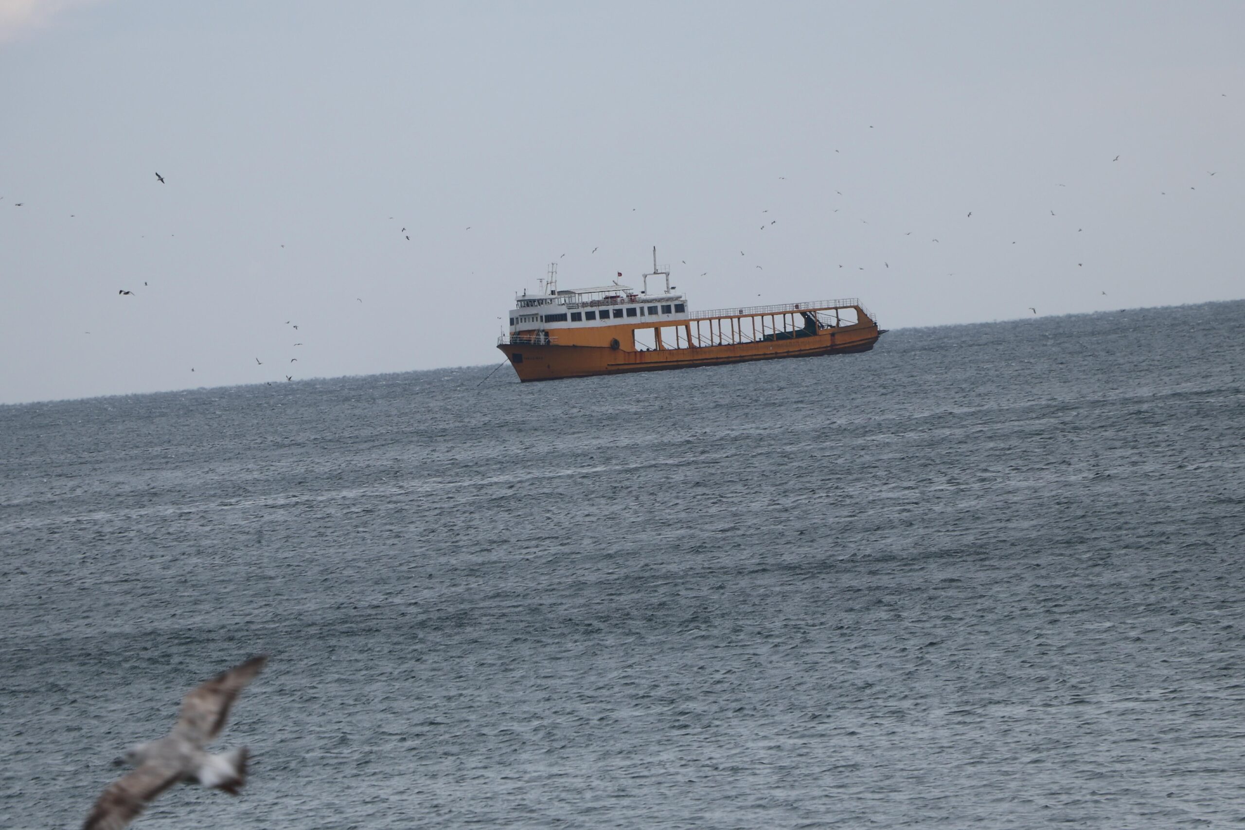 Tekirdağ’da poyraz 6 gündür deniz ulaşımını olumsuz etkiliyor haberi