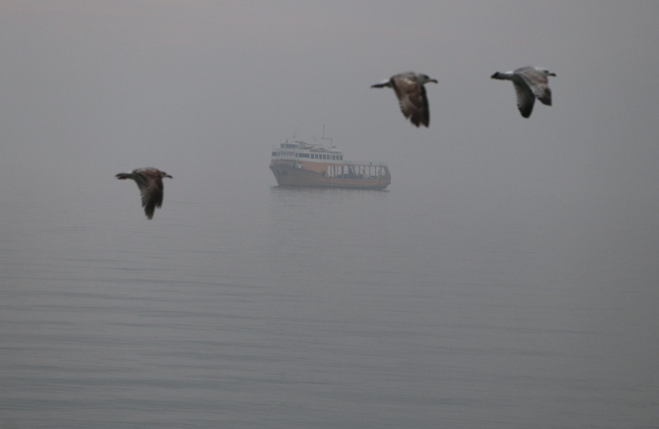 Tekirdağ’da sis deniz ve kara ulaşımını olumsuz etkiledi haberi