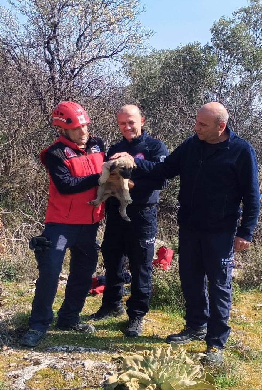 Balıkesir’de çukura düşen köpek yavrusu itfaiye ekiplerince kurtarıldı haberi