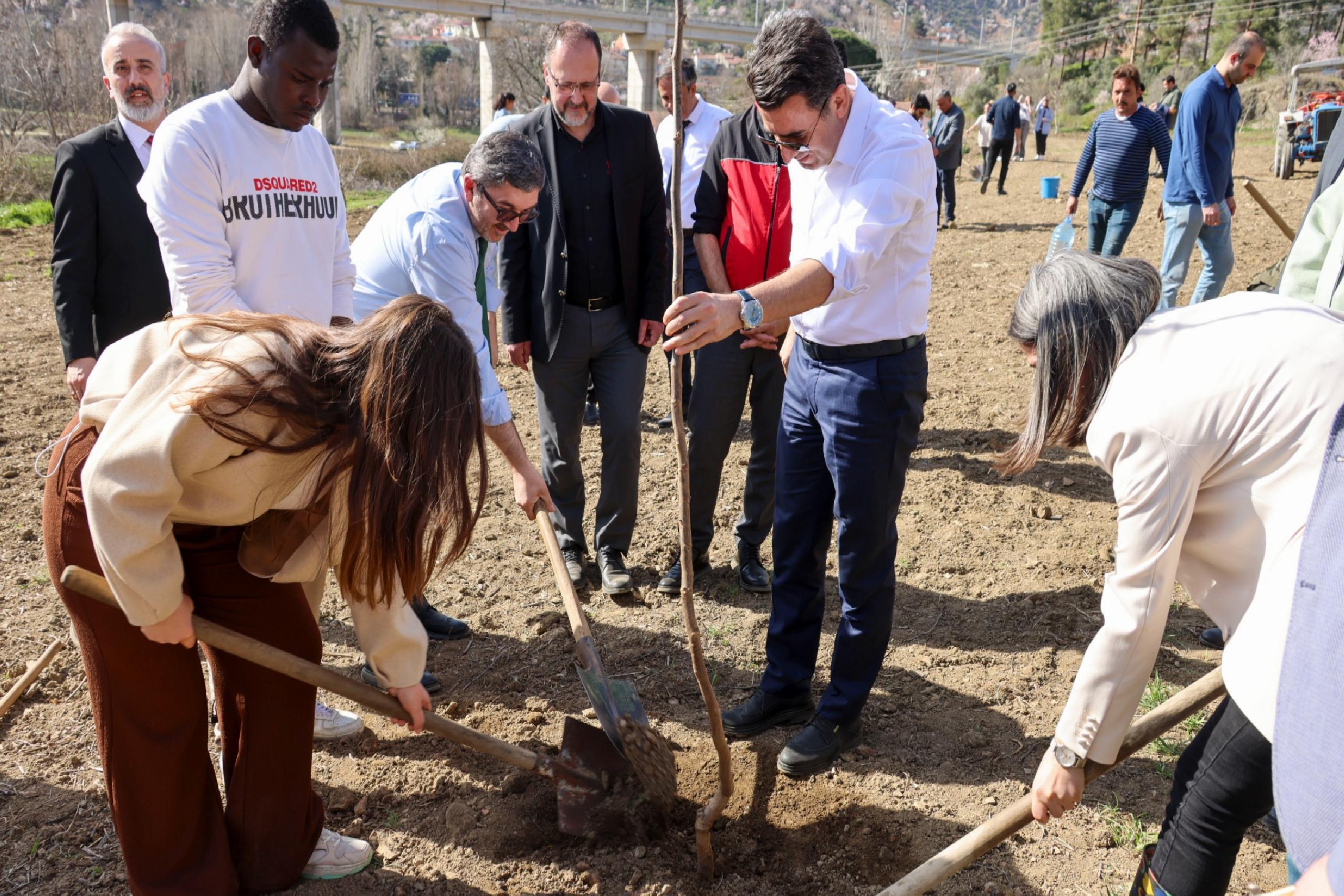 Bilecik’te ceviz ve badem fidanları toprakla buluşturuldu haberi