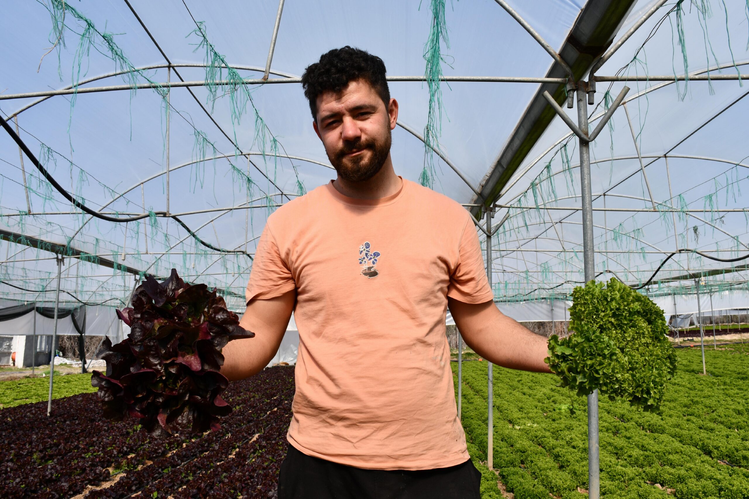 Bilecik’te genç çiftçinin ürettiği 10 çeşit marul Akdeniz salatasına dönüşüyor haberi