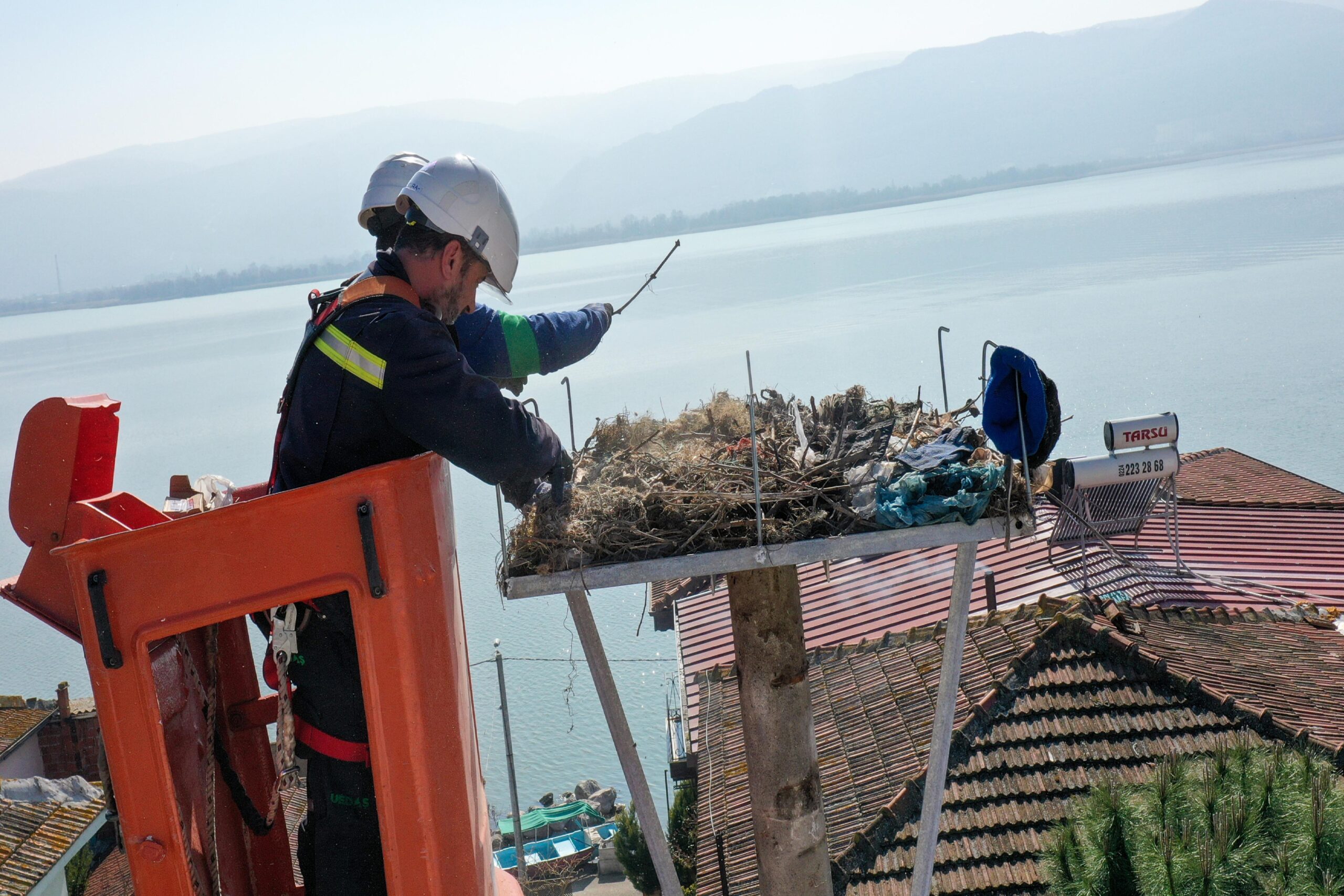 Bursa’da Uluabat Gölü çevresinde göç mevsimi başlayan leylekler için yuvalar hazırlandı haberi